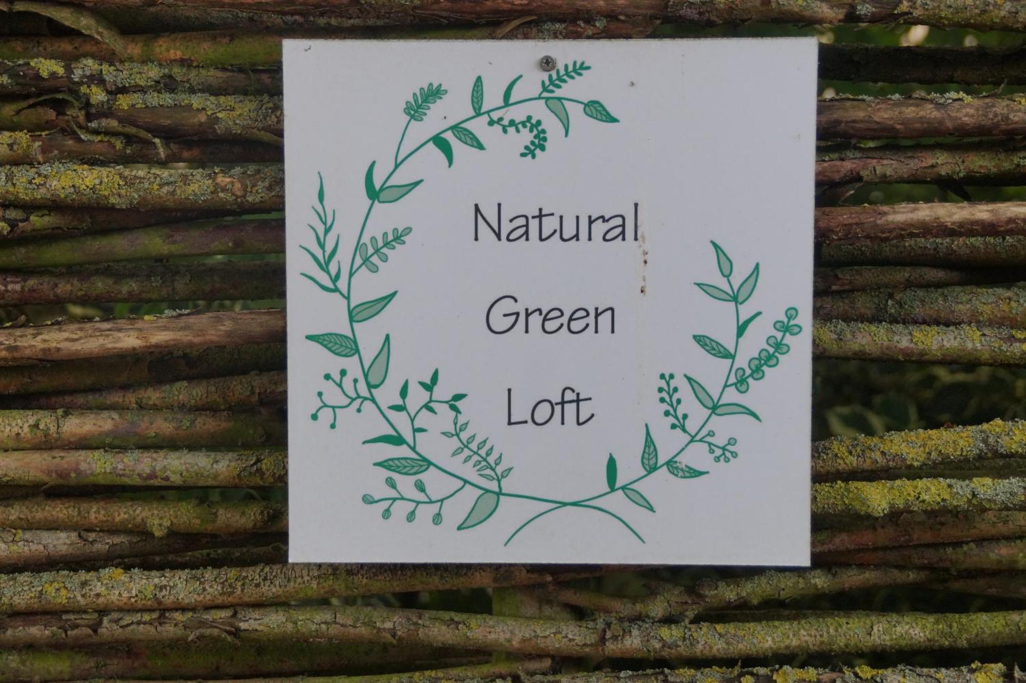 Natural Green Loft Μπέργκεν Εξωτερικό φωτογραφία